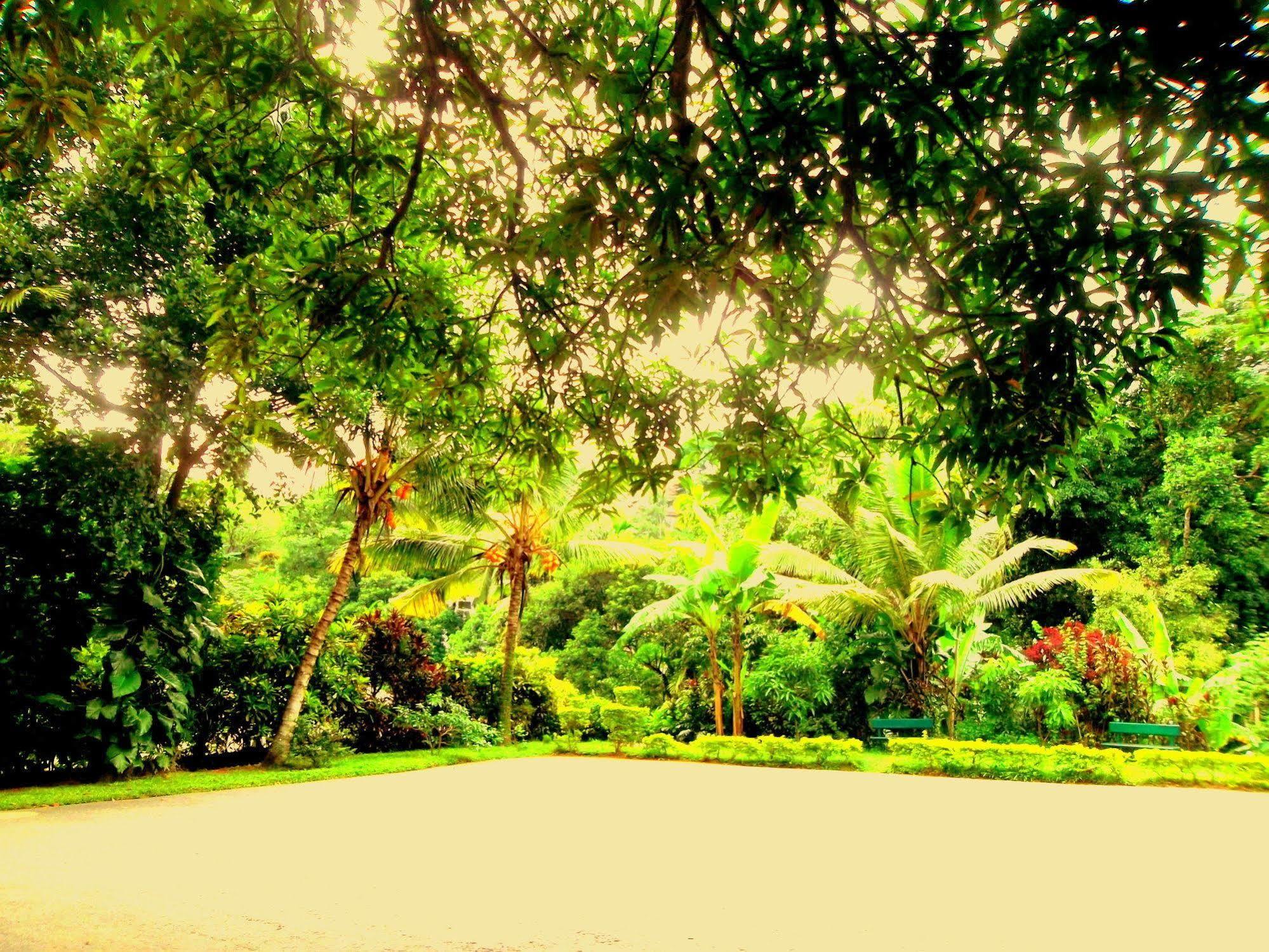 Oyo 433 Paradise Resort Kandy Bagian luar foto